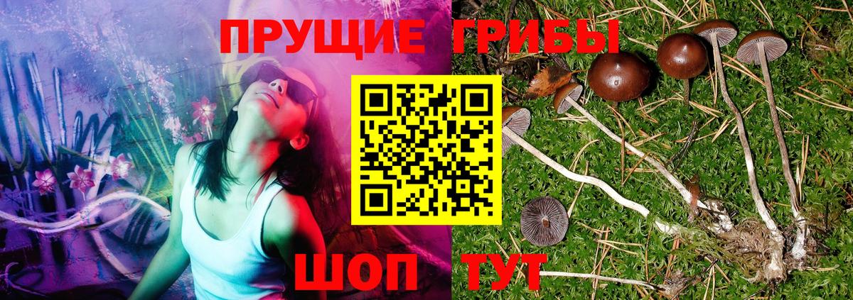 Галлюциногенные грибы мухоморы  Вход с VPN  купить наркотик  Оренбург 